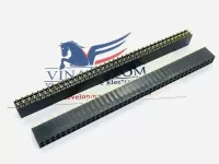 Hàng Rào Cái Đôi 2.54mm 2x40Pin